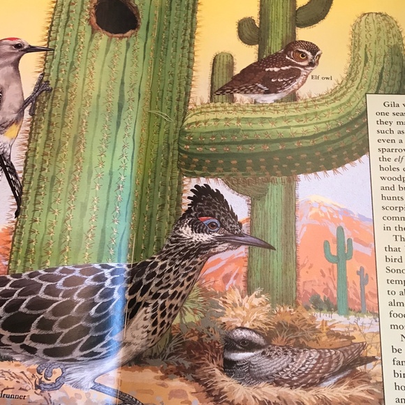 3 Hardcover Children’s Books - Picture 5 of 8